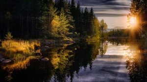 Красивая, немного грустная, нежная музыка для души | Осень загрустила ноябрьскими слезами дождей...