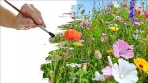 Я нарисую мир таким,каким  люблю