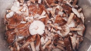 Заготавливаю грибной фарш из опят на зиму ! Вкуснейшая ароматная начинка для ОЧЕНЬ многих блюд !