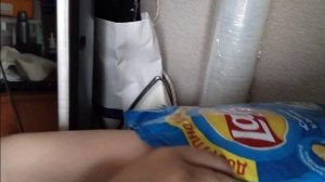 Сереноголовый в нашем городе!!!