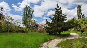 Прогулки по Еревану. Ботанический сад 3