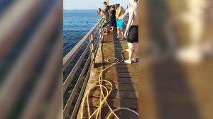 В районе Хургады на пожилую женщину во время купания напала акула