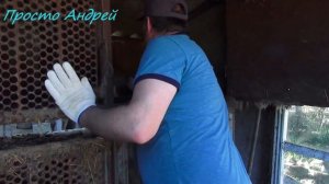 НУТРИЯ ОТСАЖИВАЕМ И СОРТИРУЕМ ЩЕНКОВ