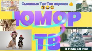 Смешные видео Нарезки ????