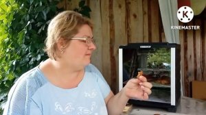 ОБРАТИЛАСЬ ЗА ПОМОЩЬЮ/КАРПАЧЧО ИЗ КУРИЦЫ В ДЕГИДРАТОРЕ Oberhof/ ДОВОЛЬНА РЕЗУЛЬТАТОМ/НАСЫЩЕННЫЙ ВЛО