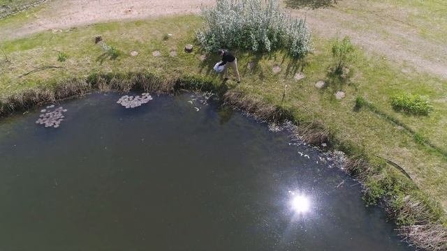 Чистая вода на базе отдыха! Легко, с хлореллой от компании Альготек #хлорелла #очисткаводоема