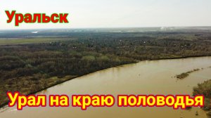 Река Урал в разгар паводка 2023!