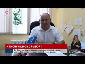 Причиной гибели рыбы в Цимлянском водохранилище стала нехватка кислорода