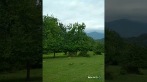 Дорога на мокрый каньон реки Псахо, г. СОЧИ