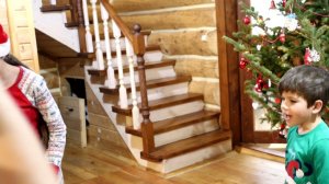 Концерт у Елки