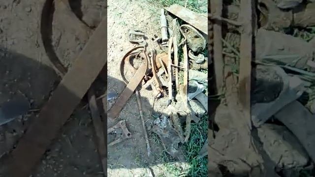 на копал металла,металлоискателем МД3010