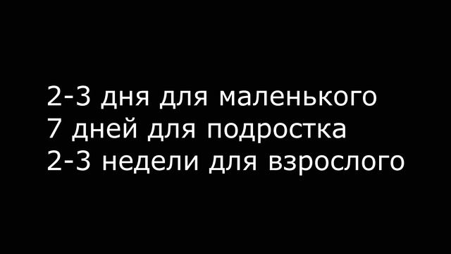 ? Краткий экскурс для начинающих арахнокиперов