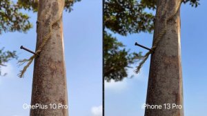 OnePlus 10 Pro Detailed Camera Review in 2023