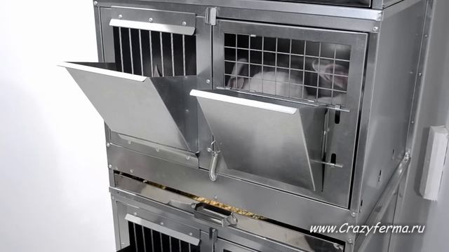 Клетка для откорма Кроликов "Профессионал" 55-КО-4 от CrazyFerma смотреть онлайн