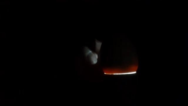 А вы видите живой зародыш цыпленка  в яйце шевелится??? 14 дней инкубации куриного яйца.