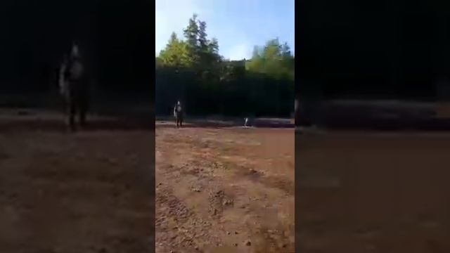 xl7 in the mud
