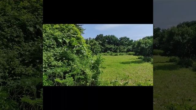 Земельные участки в 20 км от моря/Участок у леса/Строительство дома/Земля на море/Недвижимость Анап