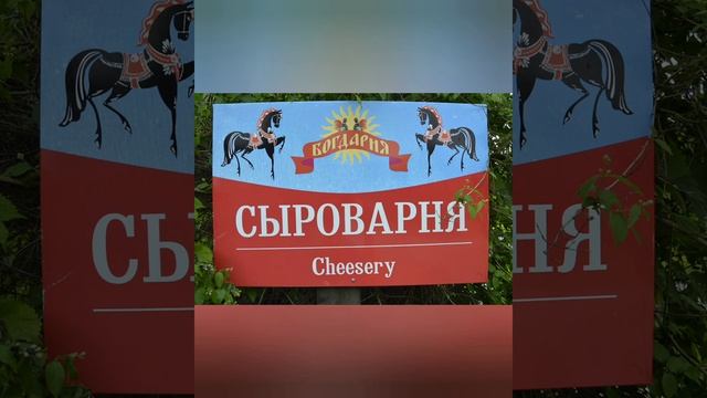 Петушки. Богдарня. смотреть онлайн