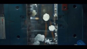 Производство пластиковых изделий РусПолимер