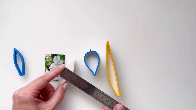 Инструменты для Видео мастер-класса «Альстромерии» смотреть онлайн