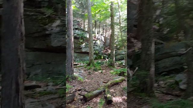 Rickett's Glen Falls Trail, Benton, PA 9/10/22 Mountain View Wesleyan Church hike