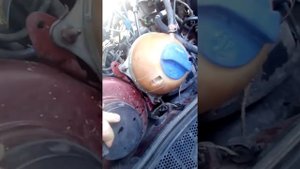 Вздулся патрубок на фольцваген венто