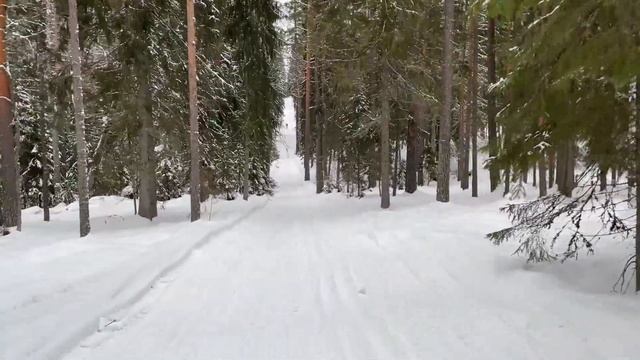 Обзор трассы для беговых лыж в Лемболово. "Лемболовская лыжня" 2022