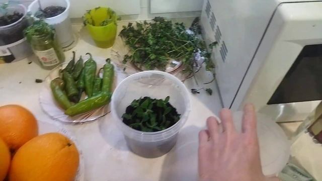 Огород на подоконнике в октябре смотреть онлайн