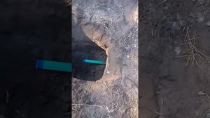 Металлоискатель Тесоро Вакуэро, катушка Mars Tiger, тест