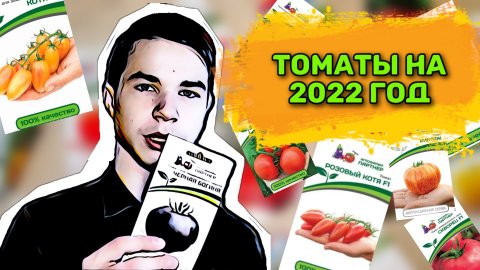 ТОМАТЫ НА 2022 ГОД. ТОМАТЫ ОТ СЕМЕНА ПАРТНЁР. #Романовогород #Семенапартнёр #Томаты