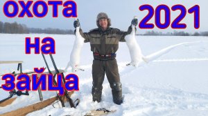 Удачная охота 2021. Два зайца за 30 мин. Точные выстрелы. Дробь №1 контейнер.    #Barsukov