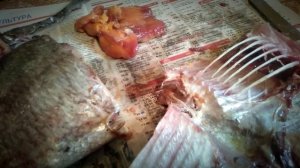 Пробуем вяленого леща сухого посола.