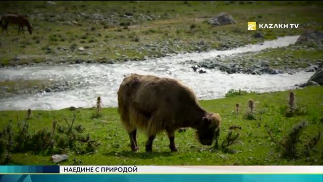 Центральный Тянь-Шань