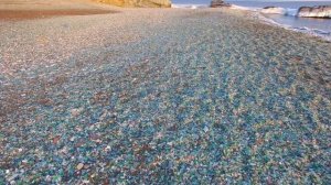 Стеклянный пляж во Владивостоке