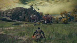 Сравнение всех арбалетов ► Крутая фишка блочного арбалета ► Elden Ring