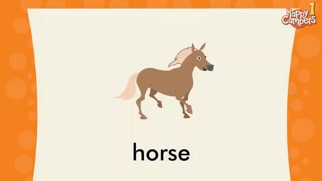 HAPPY CAMPERS 1 UNIT 3 VOCABULARY смотреть онлайн