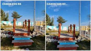 Canon EOS R8 VS Canon EOS R7 | Auto-focus Camera Test