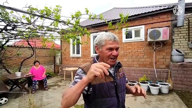 переезд на Юг