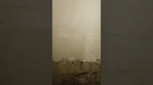 Часто встречающиеся проблемы в старом фонде в сырых помещениях. Решение проблемы.часть 2.