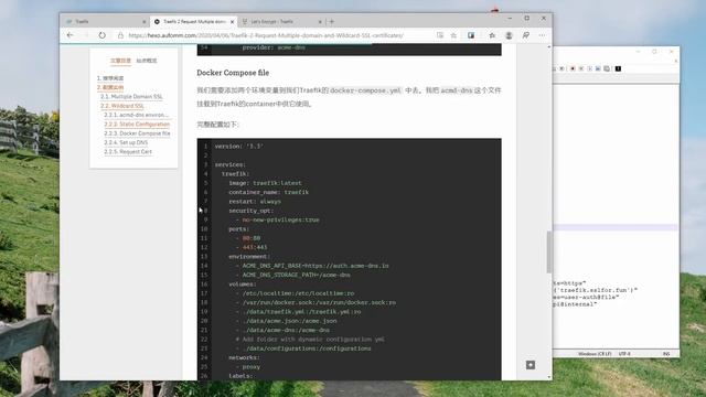 Use Traefik and ACME-DNS to get Wildcard SSL(In Chinese) смотреть онлайн