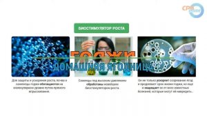? Оффер CPA INSIDE Выращивание ягоды годжи в домашних условиях Домашняя ягодница «Домашние грядки»