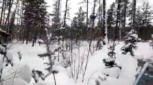 Горячий источник Нахот. Южная Якутия.