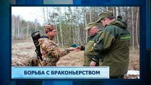 Борьба с браконьерством