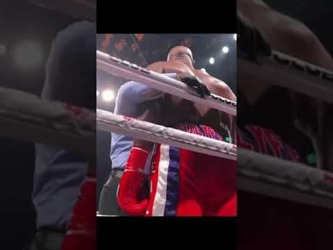 Чемпион UFC нокаутировал чемпиона по боксу | Belfort vs. Holyfield | FightSpace