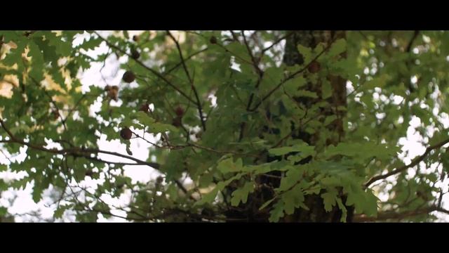 Panasonic G80 Video Test смотреть онлайн