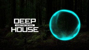 Papa Tin, RoundTrip.Music - Feel Alive