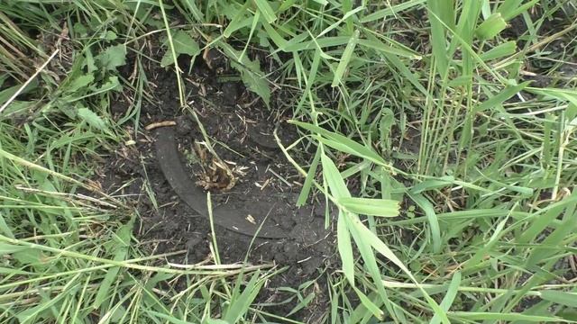 Кругом залежи металла! Поиск металла или все из-за метало копа смотреть онлайн