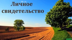 Личное свидетельство. С. Скрылёв. МСЦ ЕХБ.