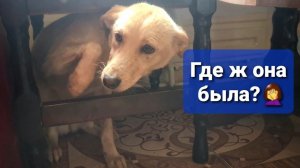 Мы потеряли Мори Колим Цаце вакцину. Обсуждаем мое ничегониделанье.