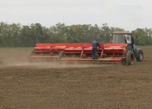 На Ставрополье идет сев озимого рапса